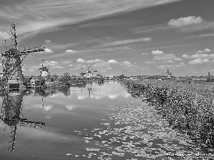 grass, Netherlands, River, Kinderdijk Village, Windmills