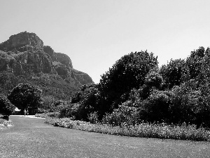 mountains, Park, Kirstenbosch, table