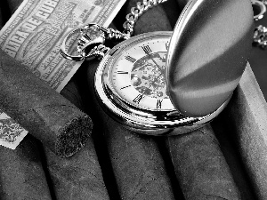 label, Cigars, Watch