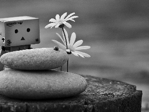 Flowers, trunk, ladybird, blur, Stones, Danbo