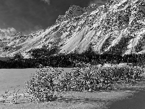 Lake Silsersee, Mountains, Canton Graubunden, Swiss Alps, Snowy, Bush, Switzerland