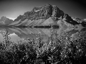 Canada, Mountains, Lake Albert