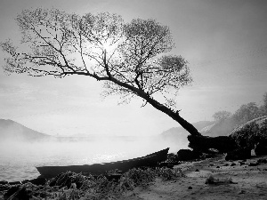 lake, Boat, Fog