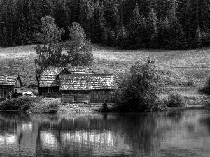 forest, by, lake, Houses