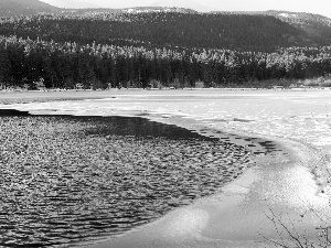 forest, snow, lake, Icecream