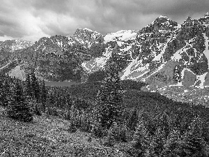 woods, Banff National Park, Valley of the Ten Peaks, viewes, Lake Moraine, Canada, Valley of the Ten Peaks, peaks, trees, Mountains