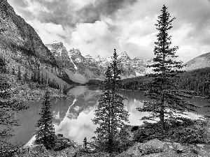 Banff National Park, Lake Moraine, Mountains, forest, viewes, Province of Alberta, Canada, trees