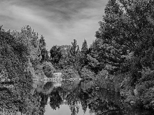 Park, viewes, lake, trees