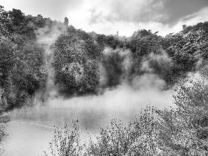 New Zeland, lake, Steam, Waimangu Volcanic Valley