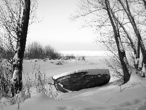 lake, winter, trees, viewes, Lodz