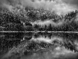 lake, winter, forest, Fog, Mountains