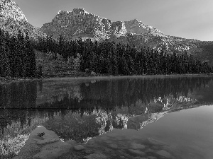 lake, Mountains, Emerald Lake, forest, British Columbia, Canada, viewes, Yoho National Park, trees