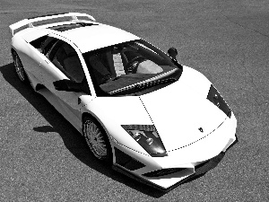 LP640, White, Lamborghini Murcielago