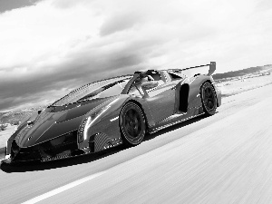 Red, Lamborghini Veneno Roadster