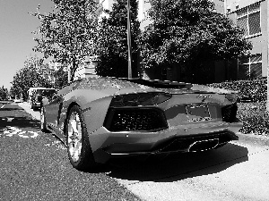 Street, Yellow, Lamborghini Aventador LP700-4