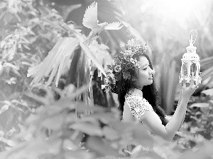 Women, pigeon, Lamp, wreath