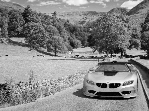 olive, Way, landscape, BMW