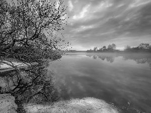 Fog, Dubna River, Latgale, Latvia, trees, Houses