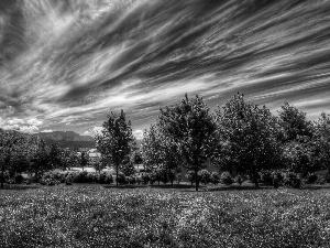 clouds, viewes, Lawn, trees