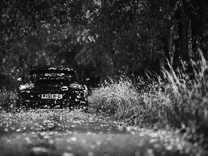 Way, 911, autumn, forest, Porsche, Leaf, ##