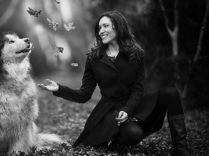 dog, Women, Leaf, Alaskan Malamute