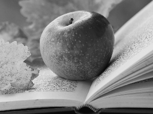 Apple, Autumn, leaf, Book