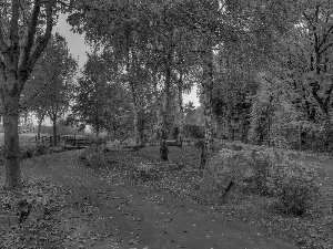 bridges, Park, Leaf, autumn, alley, River