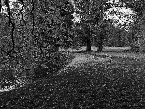 lane, Park, Leaf, autumn, Bench, River