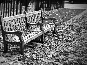 Leaf, Bench, Autumn