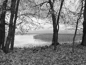 Leaf, autumn, trees, viewes, lake