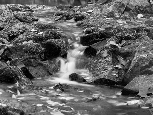 rocks, stream, Leaf, autumn, mosses, forest