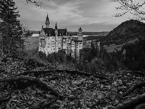 Bavaria, Germany, Neuschwanstein Castle, trees, roots, Leaf, autumn, The Hills, viewes