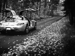 forest, Mercedes, Leaf, autumn, Way, SLS