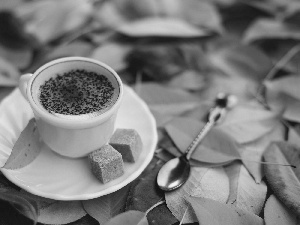 cup, Autumn, Leaf, coffee