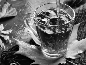 drink, cup, Leaf, Flowers, Autumn, tea