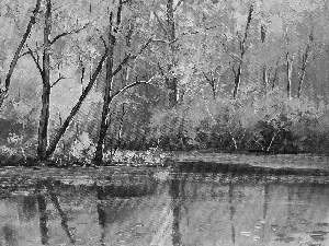 forest, color, Leaf, water