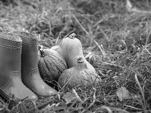 wellingtons, autumn, grass, Leaf, pumpkin, Garden
