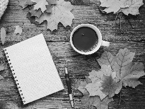 Leaf, tea, Fascilice, boarding, pen, Scarf, Cup, composition, maple, color