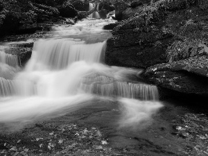 Leaf, waterfall, rocks