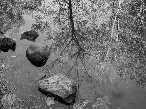 Leaf, lake, Stones