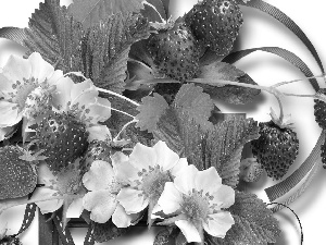 leaves, Strawberries, Flowers
