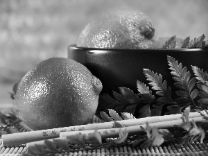 green ones, bowl, leaves, limes