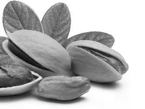 pistachios, leaves