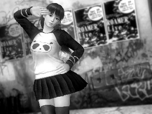 Dead Or Alive 5, Lei Fang