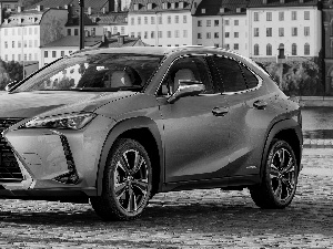 Lexus UX, Hybrid