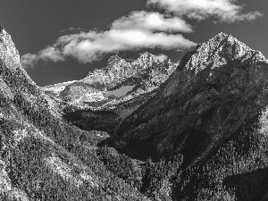 forest, ligh, shadow, sun, luminosity, canyon, Mountains, flash