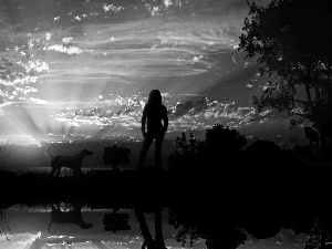 dog, Women, light, Sky, rays, nature