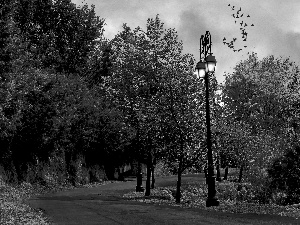 Lighthouse, birds, trees, viewes, Way