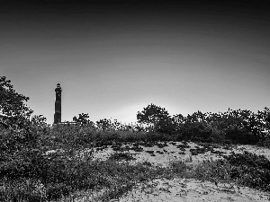 VEGETATION, Coast, Lighthouse, maritime, flash, luminosity, ligh, sun, Przebijające