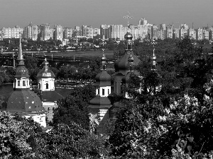panorama, flourishing, Lilacs, Kiev